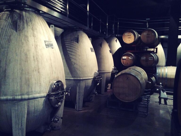 La fermentation du vin l’étape essentielle en vinification — free download
