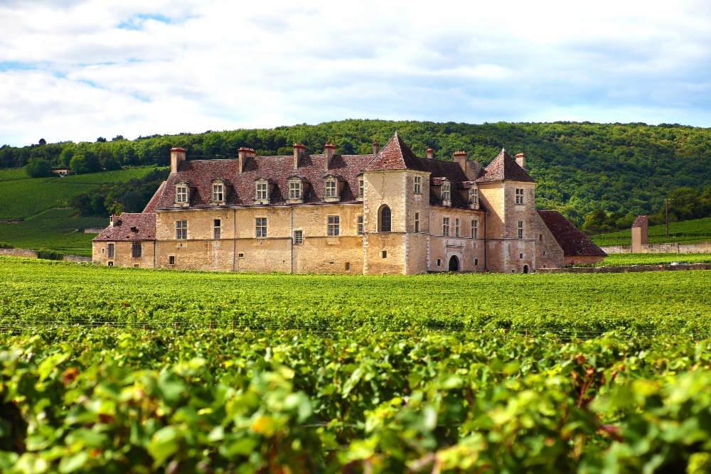 Château de style Renaissance entouré de vignes dans la région viticole de Bourgogne, en France.