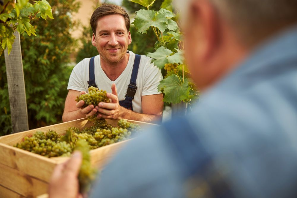 Jeune homme joyeux tenant des poignées de raisins mûrs et souriant tout en regardant un homme non reconnu