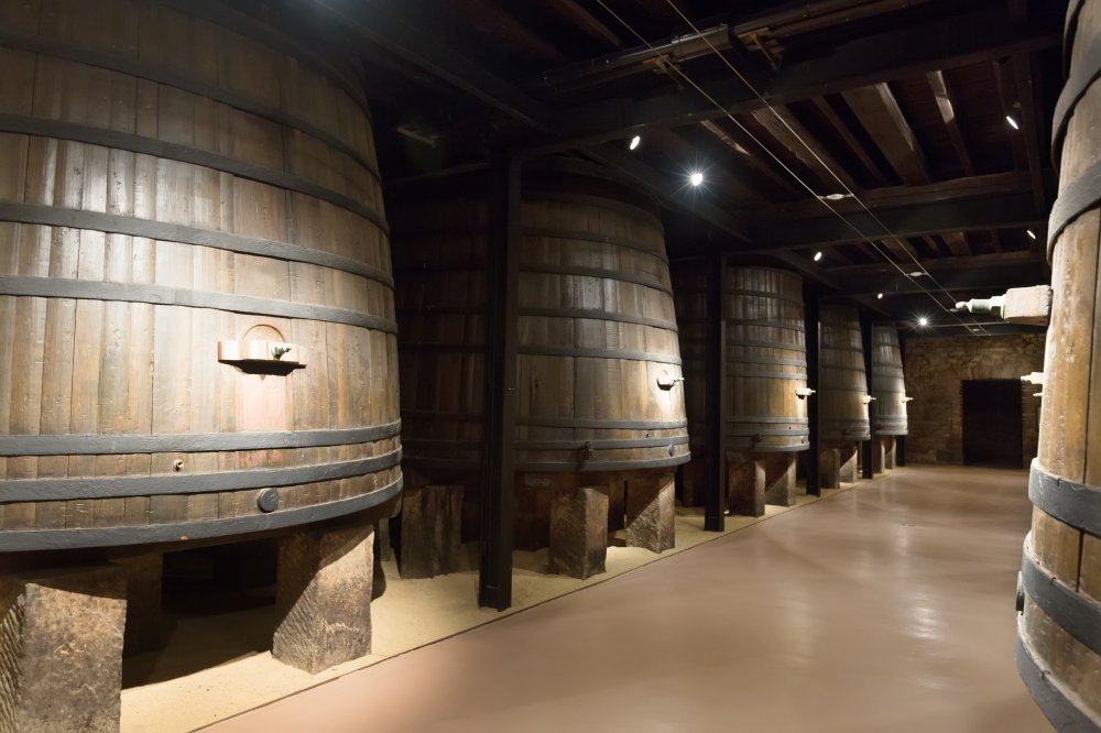 Rangée de grandes cuves en bois utilisées pour la vinification et le stockage du vin dans une cave vigneronne traditionnelle.